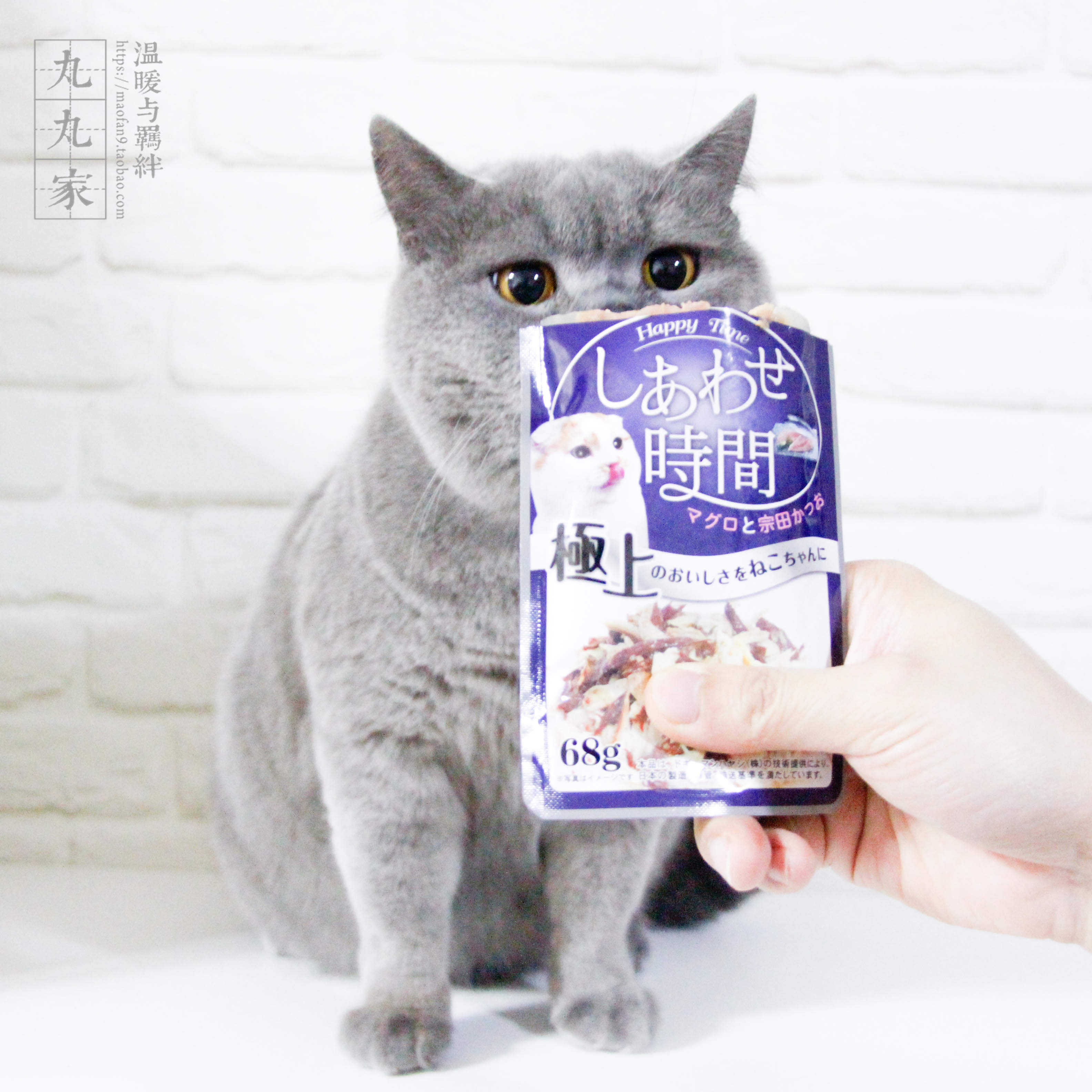 Wanwanjia Japan's Doge Manmiao fresh fish meat package wet food package canned cat food 55g 10 free 2 packages