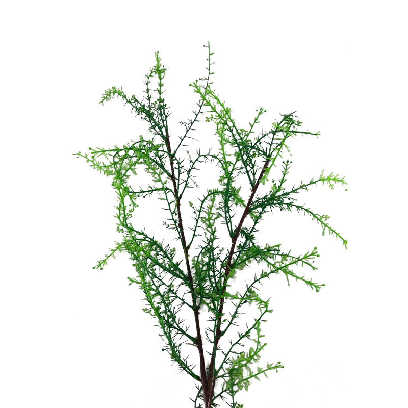 Simulation Ask the Jinggrass Leaf Spring Autumn Color Solid Loci Tingle Leafs Desert Plant Fake Leaf DIY Artisanal Simplicity indoor