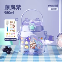 Tenglanzi 950 мл (материал тритана)