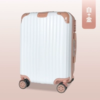 158 Деньги на молнии белые и золотые