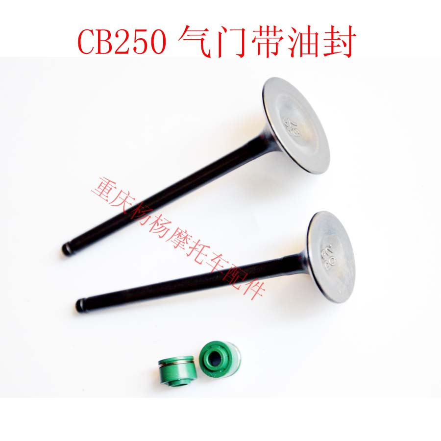 CB250 engine whiteboard machine race word machine Huayang T4 MX6 Zhenglin CQR250 original valve