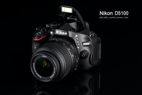 Входить дверь уровень один Антиреволюционный новый Детальная оценка Masterpiece Nikon D5100