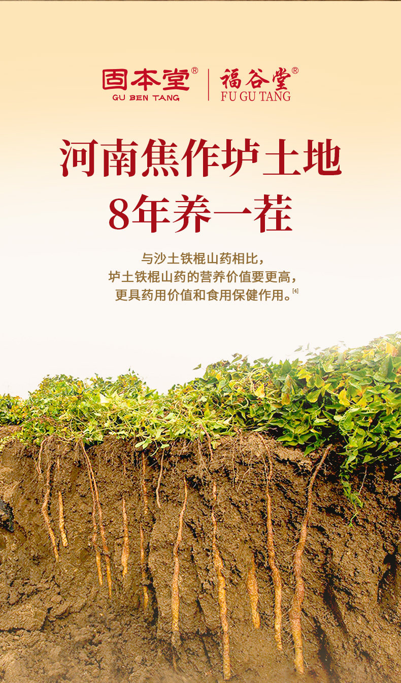 【中国直邮】 固本堂 铁棍山药粉 正宗纯养怀淮山药胃河南焦作温县垆土 500g/罐