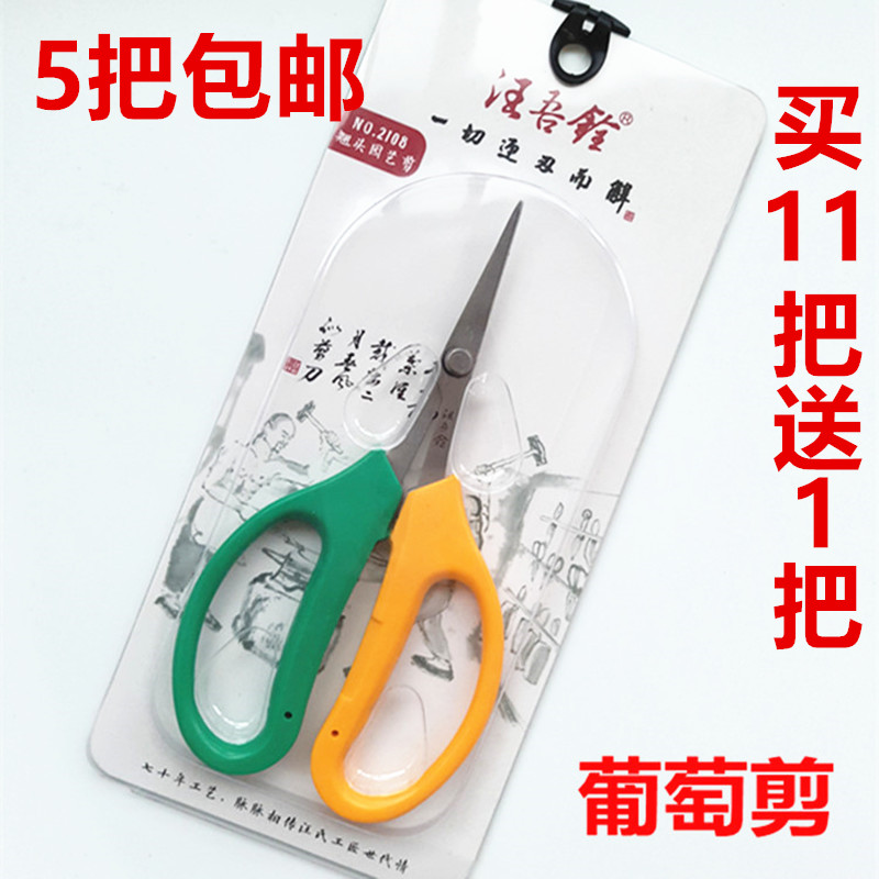 Wang Wuquan stainless steel head grape cutting garden fruit branches gardening pruning flower branch picking scissors