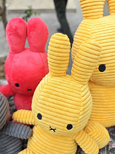 Выйдите из голландской MI Family Light Core Big Collection Big Collection, Sleepk Doll, чтобы сопровождать куклу, чтобы успокоить куклу без выпадения волос