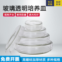 GLASS INSTRUMENT PETRI DISH BIOLOGICAL BACTERIA PLATE HIGH BOROSILICATE THICKENED 60 90 100 120 150MM HIGH TEMPERATURE