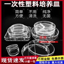 Disposable plastic petri dish sterile 90 150 60 120 35mm grid plate square 9cm plate