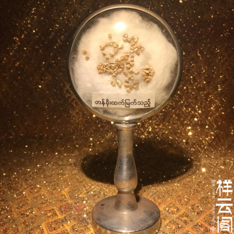 The old Burmese pagoda seat takes out the Sakyamuni Buddha G solid sub 2-3 mm for the relic stupa Gawu box