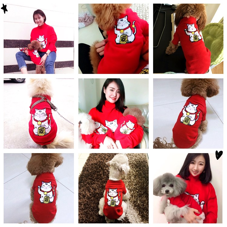 Pet chó quần áo lễ hội Teddy gấu chó chó chiến đấu quần áo mèo quần áo mùa xuân và mùa thu quần áo trùm đầu - Quần áo & phụ kiện thú cưng áo lân cho mèo