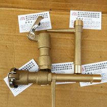 All-copper 6-point DN20 25 quick water valve internal thread water dispenser garden convenient water plug