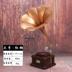 đầu đĩa than accuphase	 Mô hình máy hát đồ trang trí cổ châu Âu phòng khách trang trí đạo cụ retro ghi máy sáng tạo phụ kiện nhà - Máy hát 	đầu đĩa than loa kèn tại hà nội Máy hát