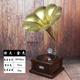 đầu đĩa than accuphase	 Mô hình máy hát đồ trang trí cổ châu Âu phòng khách trang trí đạo cụ retro ghi máy sáng tạo phụ kiện nhà - Máy hát 	đầu đĩa than loa kèn tại hà nội
