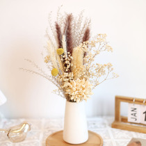 ins full of stars Nordic primary color reed in dust dry floral bouquet real flowers Advanced light lavish daisy tabletop decorations hem