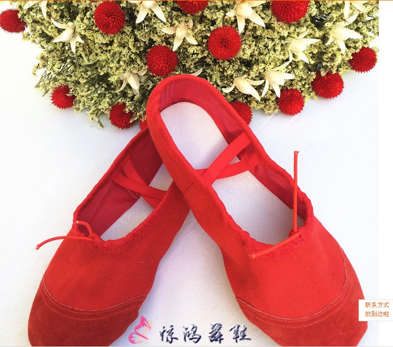 Adult Dance Shoes Softbottom Male and female Ballet Shoes Dancing Yoga Body Cat Paw Practice Shoes