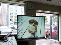 Quality assurance 100 inches 4: 3 16: 9 bracket projection curtain cloth white plastic white glass fiber projector curtain