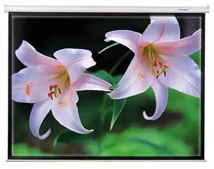 Guaranteed 100 inch 4:3 16:9 16:10 electric screen HD white glass fiber glass bead projector curtain