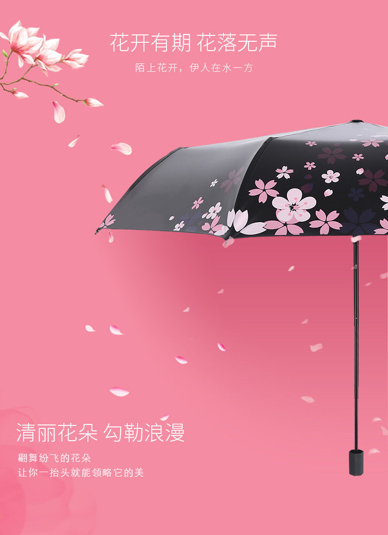 30641 Sakura Flying Dance_03.jpg