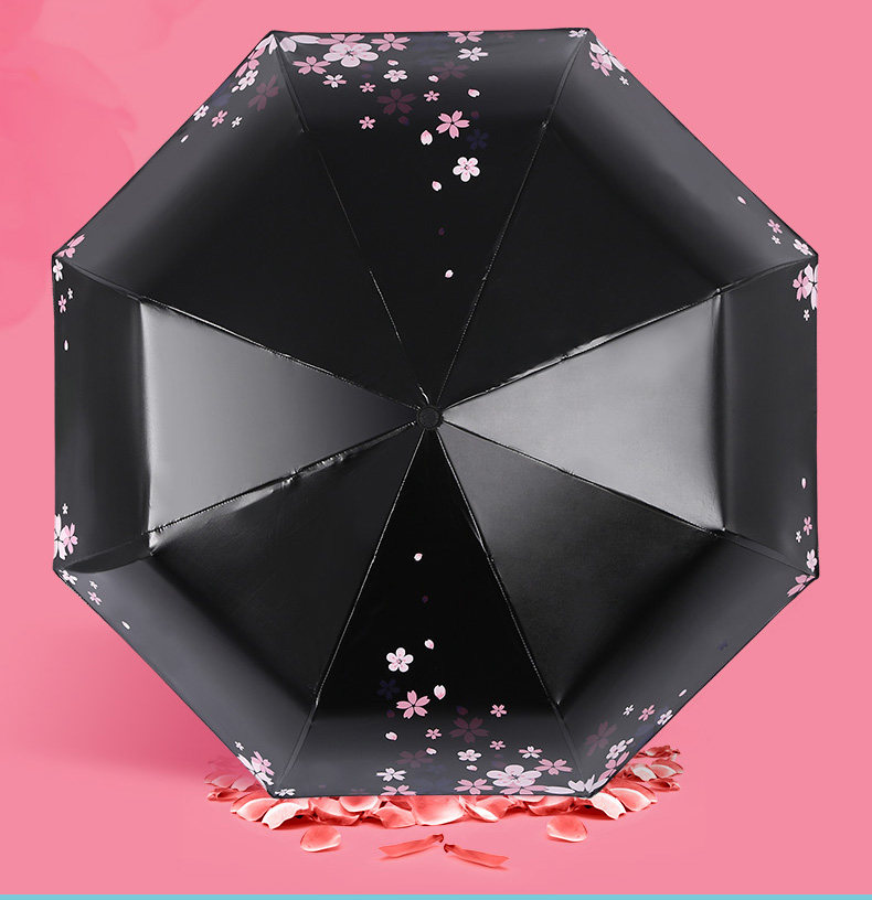 30641 Cherry Blossom Flight_04.jpg