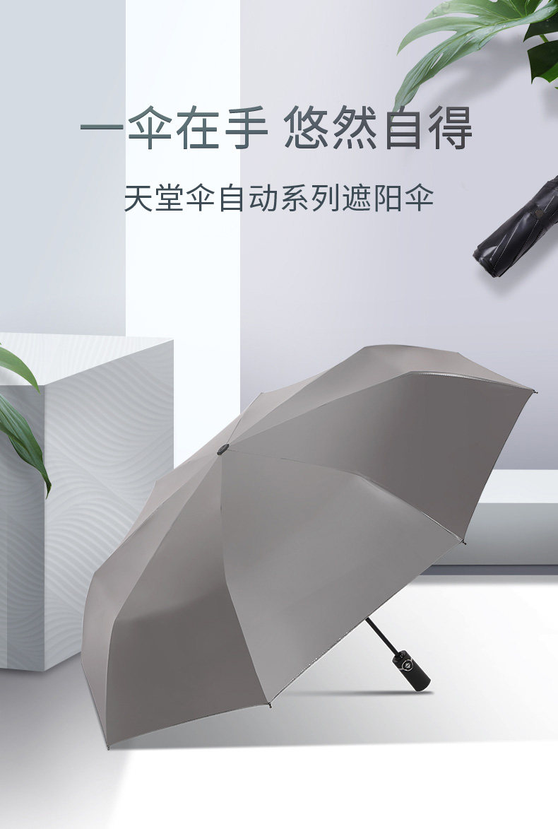 33584E неторопливо Compressent_01.jpg