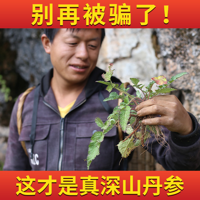 Red sage root Chinese herbal medicine special grade No sulphur can be hitchhiking 37 Hemlock Kudzuvine 500g soak in water to drink powder-Taobao