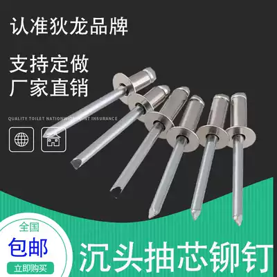 Stainless Steel sunk head blind rivet 304 flat head riveting decoration sheet metal rivet M3 2M4 2M4 8 aluminum iron nail