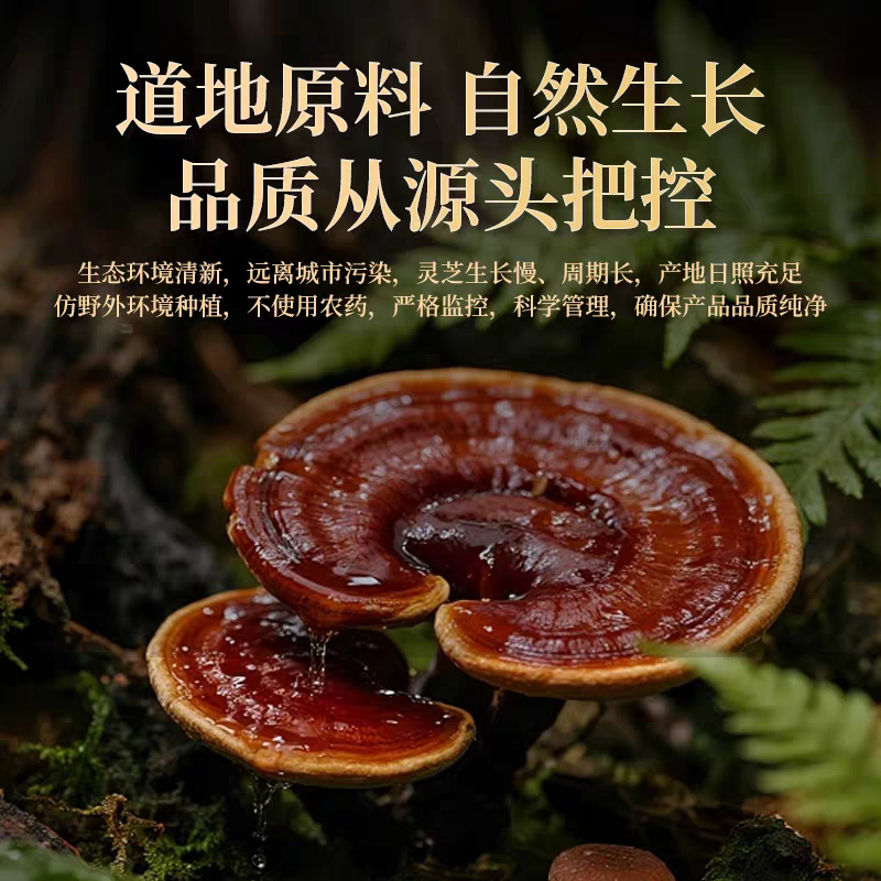 金匮棠滋补店的LOGO