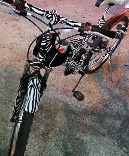 Déco pour vélo - Ref 2286466 Image 10