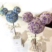 Flower clay Special-shaped round bear-shaped flat desktop small flower clay Flower clay for floral training Mickey head flower clay
