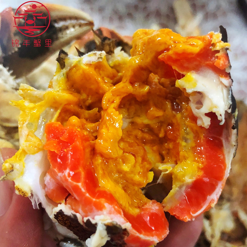 现货阳澄湖大闸蟹6两公蟹8只4.5两母蟹6只,2025年的吃蟹新选择?