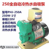 250W fully automatic cold and hot water multipurpose self-priming pump Home booster pump Solar water tap water pressurized pump