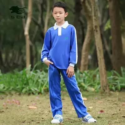 Shenzhen school uniform Shachen leopard small autumn sports top male