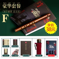 F Отрегулируйте [роскошные аксессуары] Zero Foundation First Choice