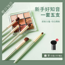 Eye shadow brush set small horse hair makeup brush full set of nasal shadow eye dye brush soft hair detail eye makeup brush 5