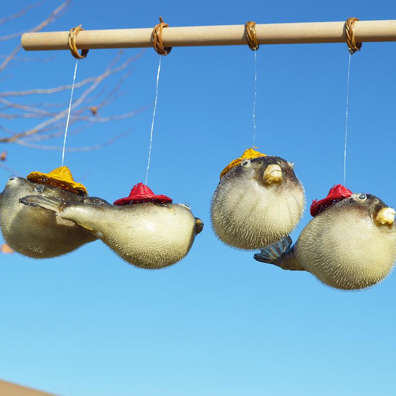 Natural Pufferfish Specimens, Blowfish, Strawhat Fish, Car Pendants, Student Teaching Aids, Hotel Small Gifts, Gift Wholesale