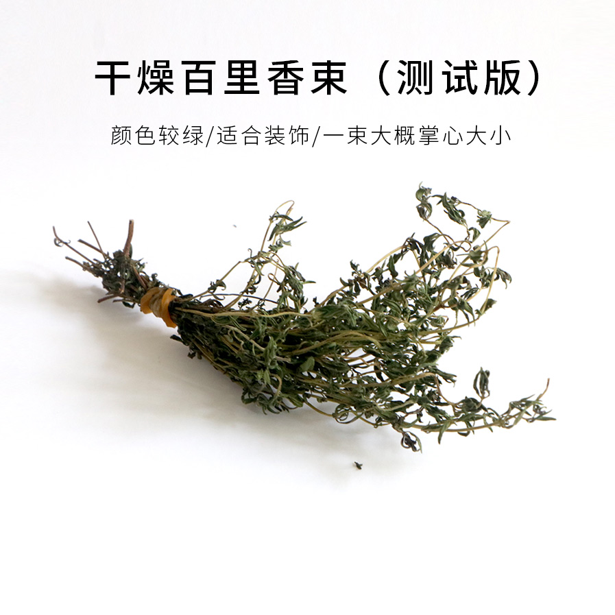 (Test) Dried thyme bunches, thyme strips, color green, suitable for decoration, detrimental to the fragrance