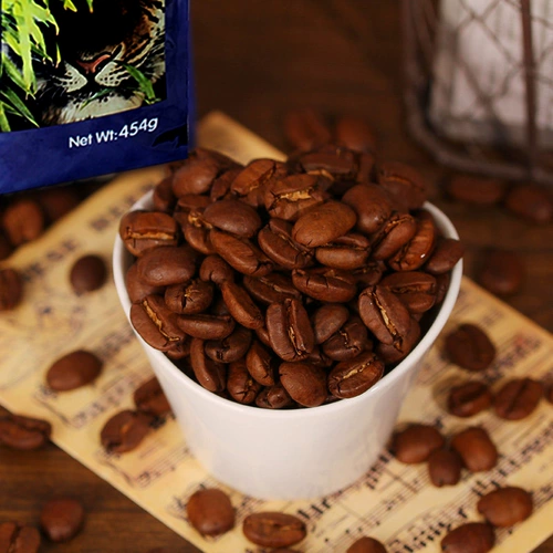 忆豆 Sumatraman Tynan Coffee Coffee Bean 454G Fresh Roast Coffee Beans