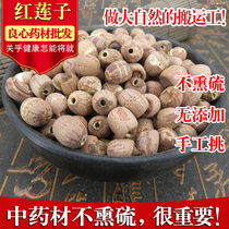 Chinese herbal medicine shop without sulphur to take core red lotus seed with leather farmhouse red lotus seed 500 gr Chinese herbal medicine shop