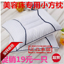 Spike beauty salon special pillow Cassia beauty small square pillow beauty bedspread single pillow 30x50 pillowcase