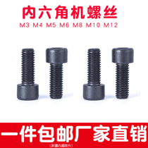 Hexagon socket head cap screws M10 * 20 45 65 85 100 120 150 180 200 high strength 8 8 Hexagon
