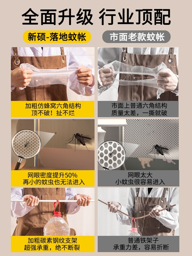 Palace-Style Floor-Standing Mosquito Net for Home Use, 2025 New Model, Bedroom High-End Frame, Three-Door Patterned Canopy, Princess Style