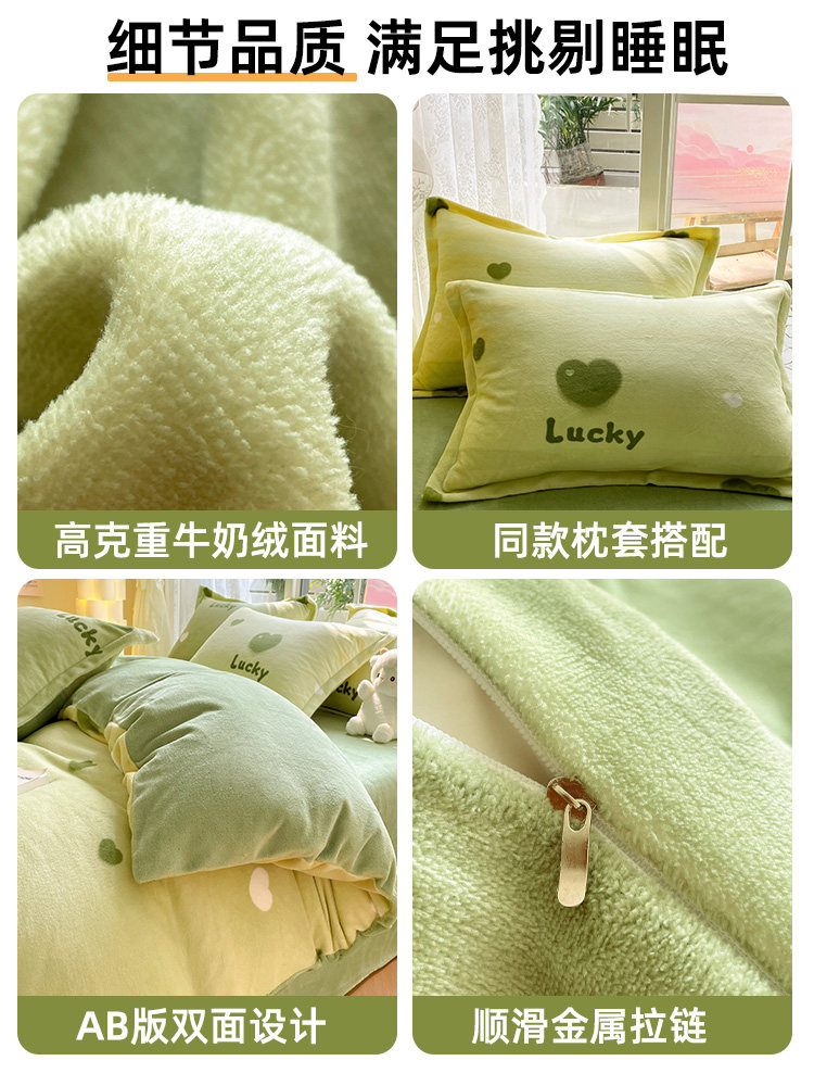 Winter Thickened Milk Velvet Four-Piece Bedding Set 2025 New Double-Sided Fleece Coral Fleece Bed Sheet Duvet Cover Three-Piece Set