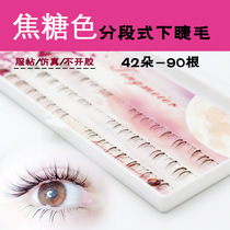 Caramel colour sectional eyelash false eyelash under eyelash sectional already cut of single tuft natural short