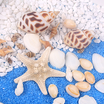 Natural starfish shell conch diy handmade crystal drop ashtray cream glue phone case diy accessories