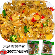 Taro Miao sour vegetable sour taro lotus Zhengzong Great Yu Special Production Hometown Vegetable cuisine Jiangxi Vegetable Stalk Sour vegetable fish stock Next meal