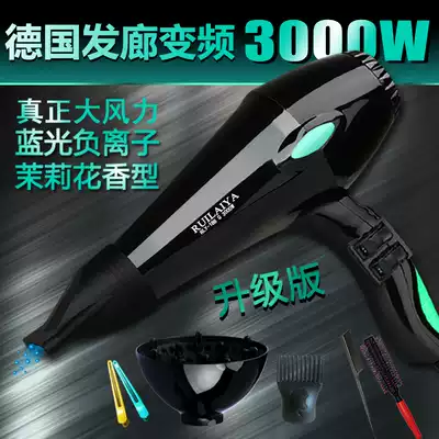 Imported hair salon professional hair dryer high-power hair dryer hair dryer