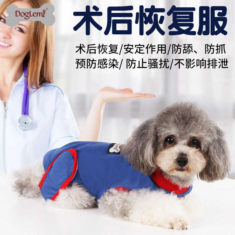 宠物多功能术后恢复服公狗绝育服母狗狗防骚扰衣服防舔手术安定服