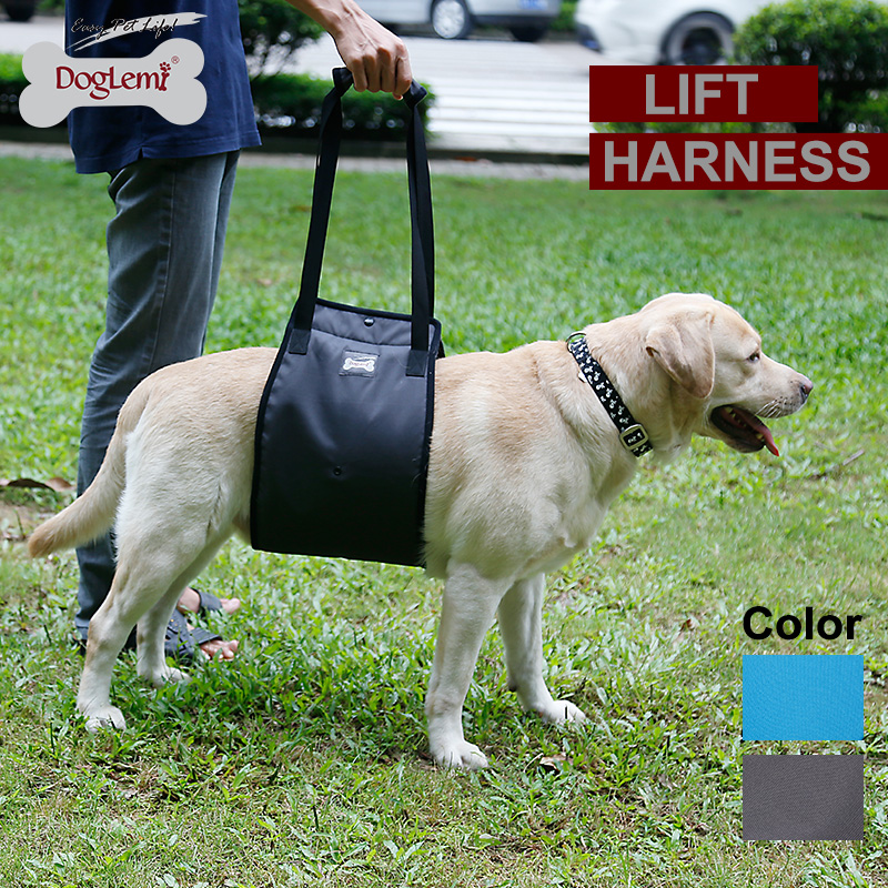 Elderly dog ​​dog leg disabled dog auxiliary holding baby bag hind leg injury protection dog walking assistance belt on the car upstairs assistance belt