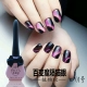 Nail Art Sơn móng tay Keo dán mắt mèo 3D Đa dạng Magic Meteor Cats Eye Glue Wide Cats Eye Magic Lasting Phototherapy Glue Cửa hàng làm móng - Sơn móng tay / Móng tay và móng chân