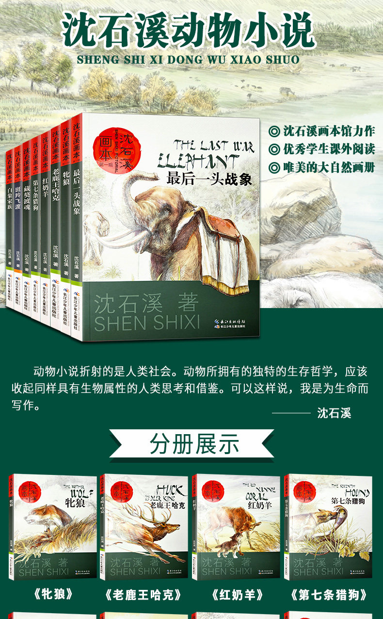 沈石溪 动物小说画本 第一辑  套装共8册 双重优惠折后￥40.8包邮