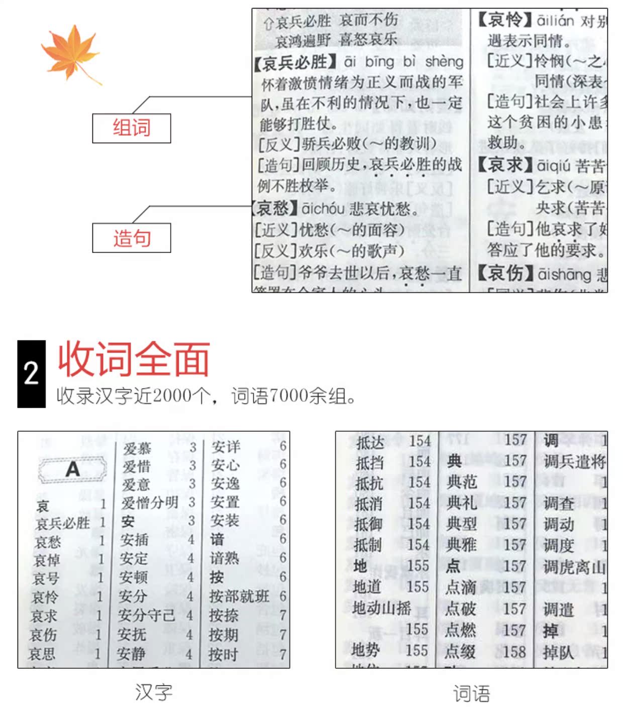 词语词典多全功能工具书大全新版新华